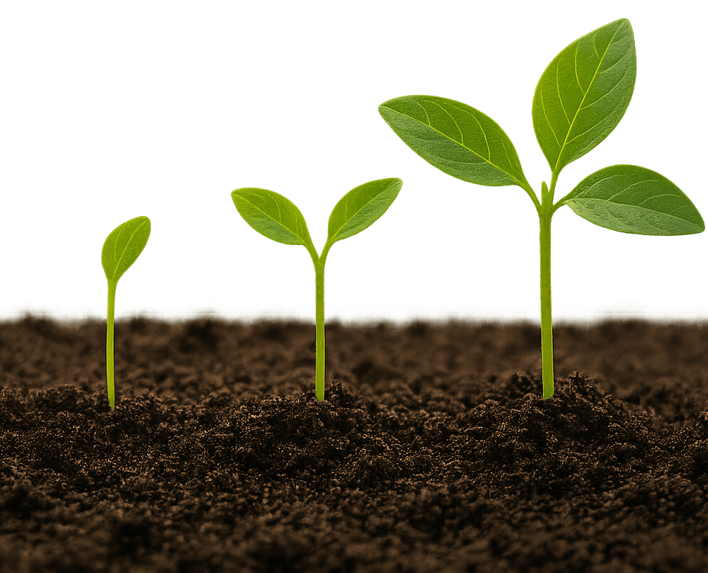 Zoho Implementation and Business Process Automation in Madurai"